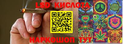 spice Гатчина