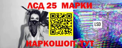spice Гатчина