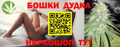 spice Гатчина
