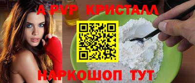 spice Гатчина