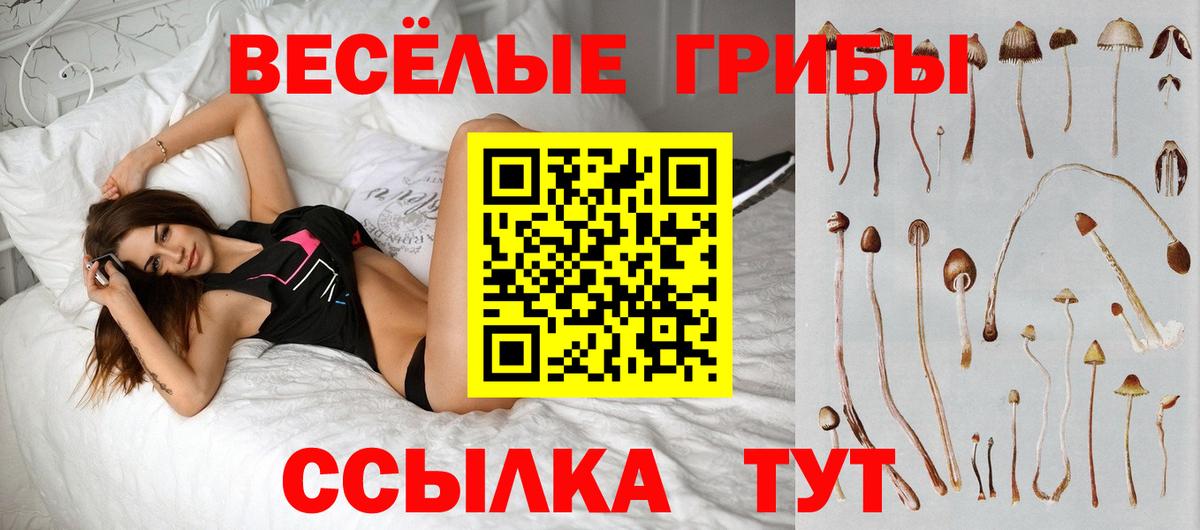Галлюциногенные грибы Cubensis  Вход с VPN  Туймазы  Псилоцибиновые грибы MAGIC MUSHROOMS 